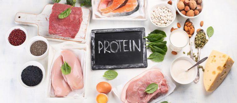 שומרים על תוצאות אימון הרכיבה: עופות, דגים ובשר – אילו מאכלים מכילים חלבון?